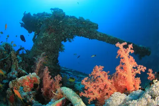 Ruta de pecios – Dolce Vita