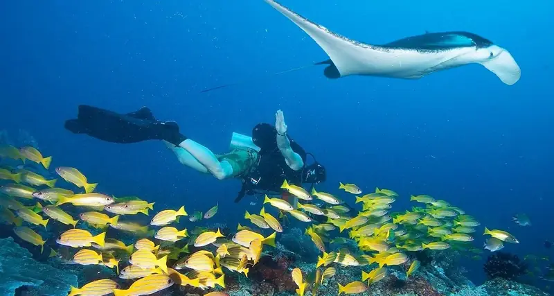 Raja Ampat 10 noches – Indo Master