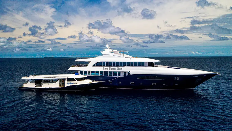 Barco de vida a bordo Blue Force One