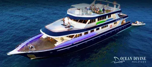 Ruta clásica · camarote suite – Ocean Divine