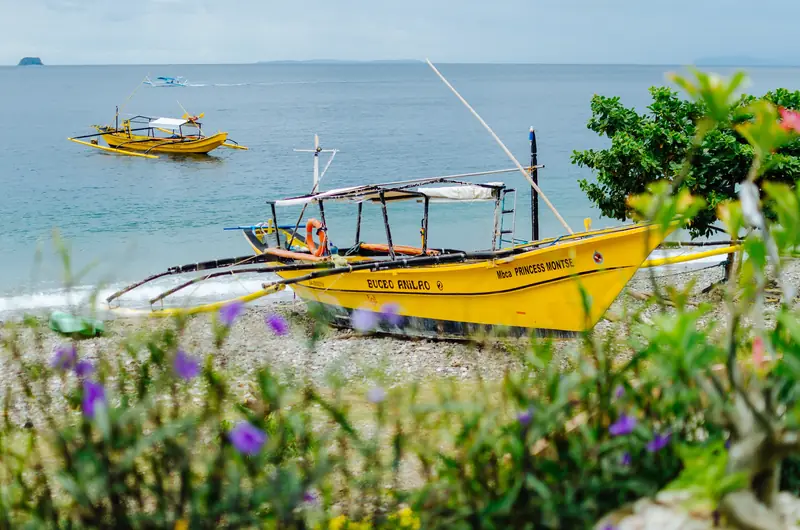 Anilao, el paraíso del macro