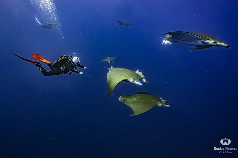 Azores, la joya del Atlántico
