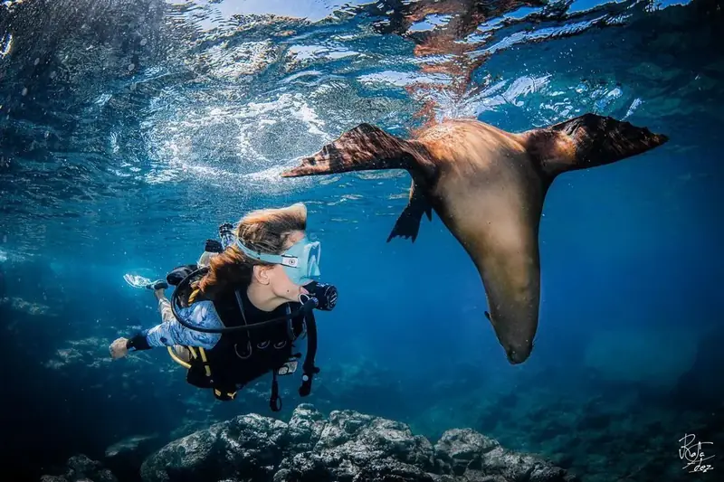 Megafauna en La Paz