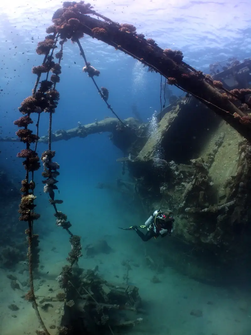 Buceo en Mar Rojo