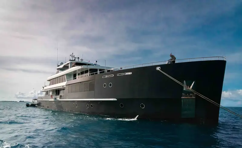 Desove del pez loro jorobado en el Black Pearl
