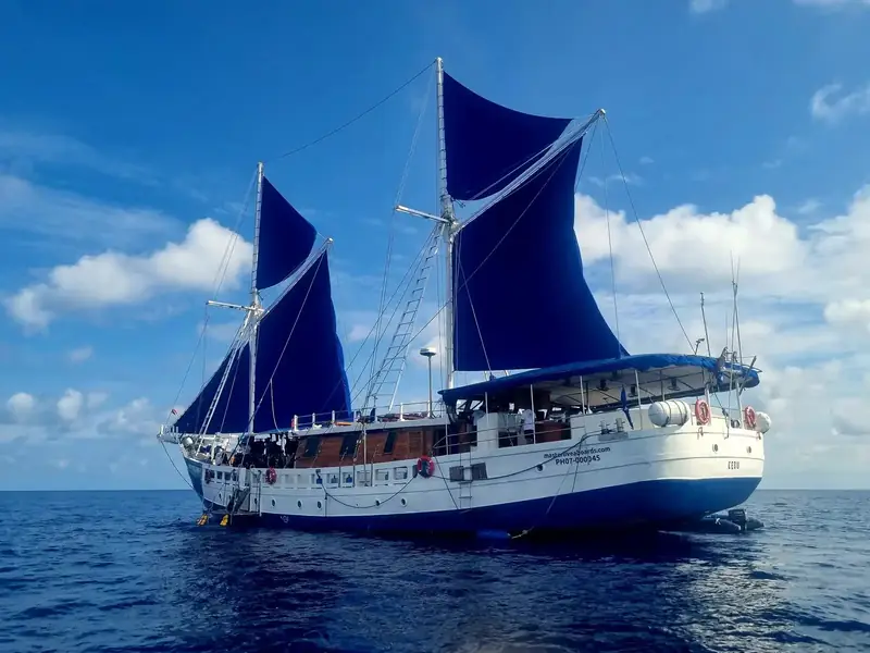 Sur de Leyte, Visayas y Malapascua en el Philippine Siren